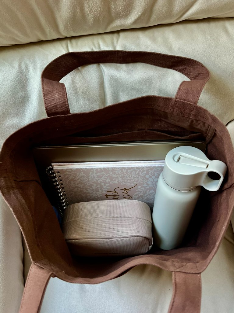 Muji Mocha Brown Canvas Tote Set Large + Mini Nwt — image 4 of 8